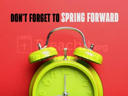 Spring Forward Pink Green