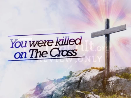 You Were Killed On The Cross
