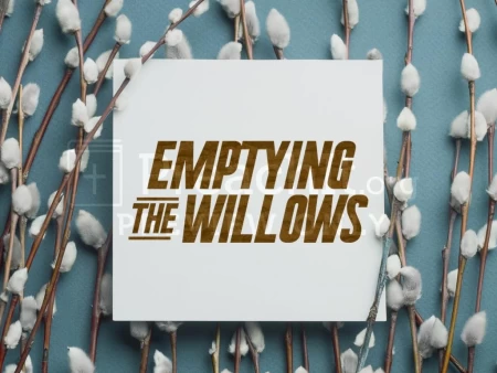 Emptying the Willows
