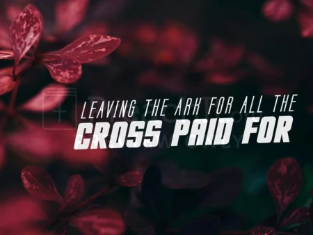 Leaving the Ark For All the Cross Paid For