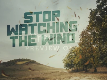 Stop Watching The Wind