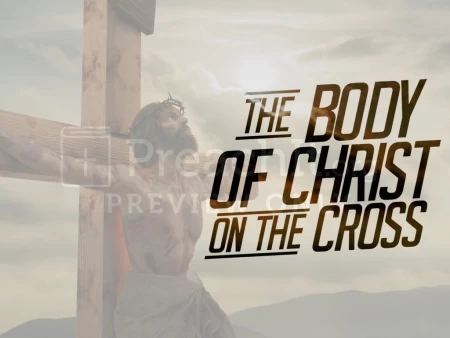 The Body Of Christ On The Cross