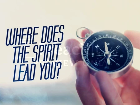 Where Does The Spirit Lead You?