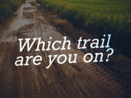 Which Trail Are You On?