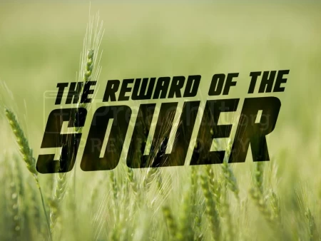 The Reward of the Sower