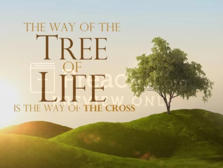 The Way Of The Tree Of Life Is The Way Of The Cross