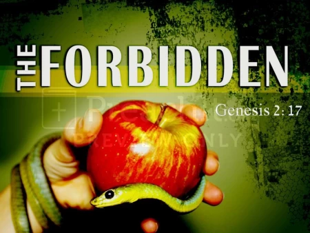 Why Do We Still Eat The Forbidden Fruit?