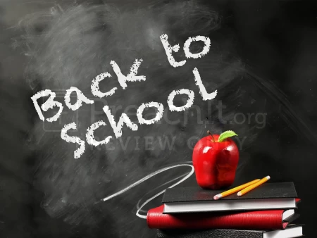 Back To School Chalk Board