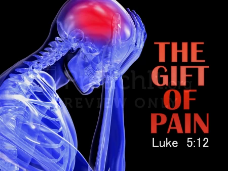 The Gift of Pain