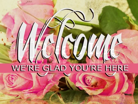 Welcome Pink Roses