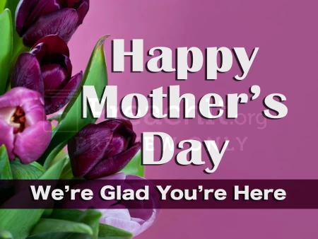 Mother’s Day Welcome Tulips