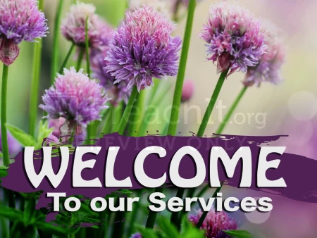 Welcome Purple Flowers