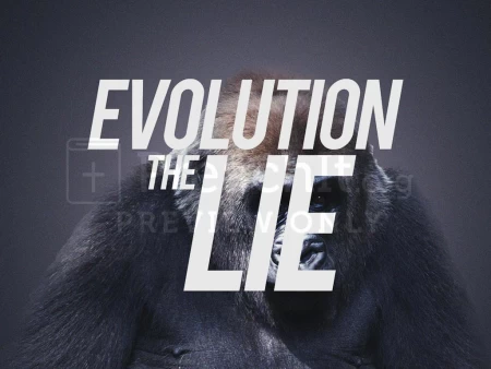 Evolution: The Lie