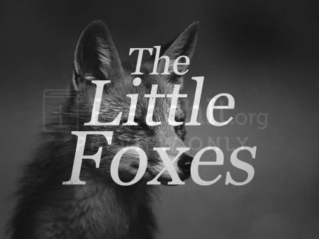The Little Foxes