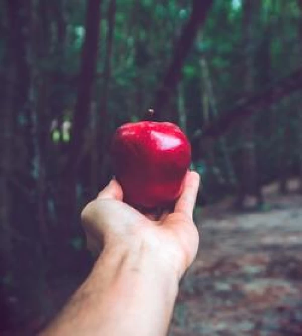 7 Deadly Sins of an Excellent Leader