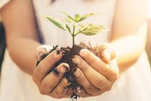 Seven Signs of a Growing Church