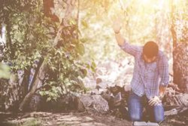 The Healthy Pastoral Leader