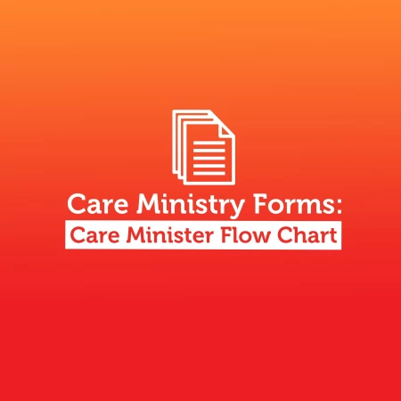 Care Minister Flow Chart