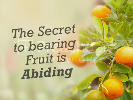 The Secret to Bearing Fruit is Abiding