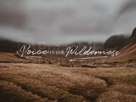 A Voice In The Wilderness