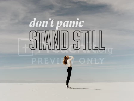 Don’t Panic Stand Still
