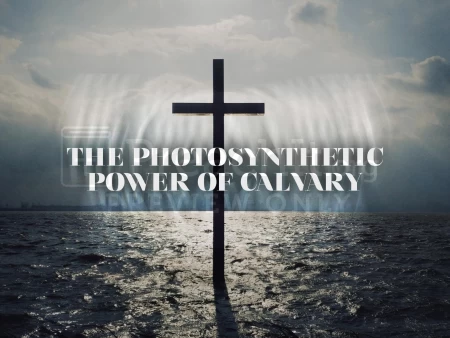 The Photosynthetic Power of Calvary