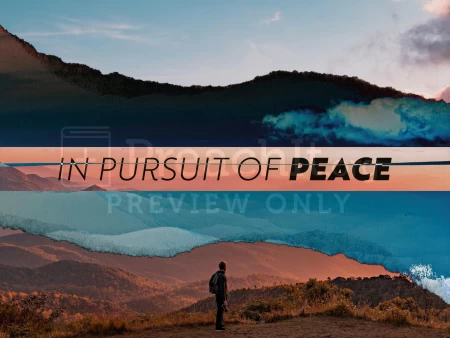 In Pursuit of Peace