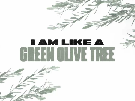 I Am Like a Green Olive Tree