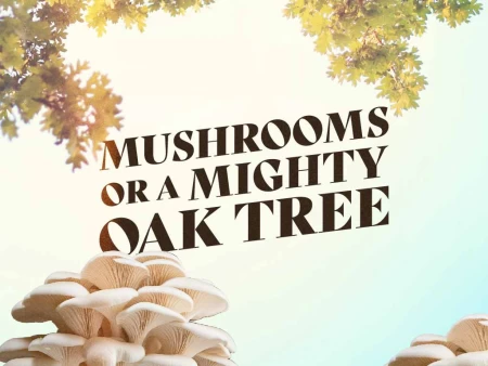 Mushrooms or a Mighty Oak Tree