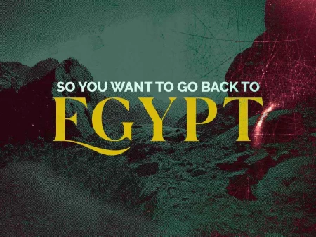 So You Want To Go Back To Egypt