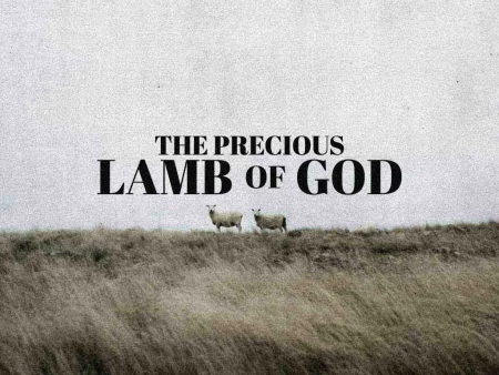The Precious Lamb of God
