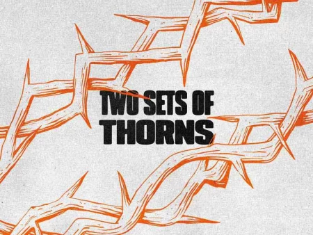 Two Sets of Thorns