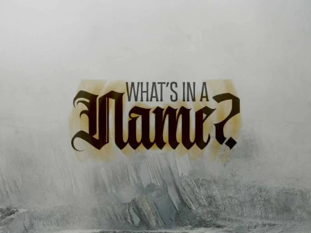 What’s In A Name?