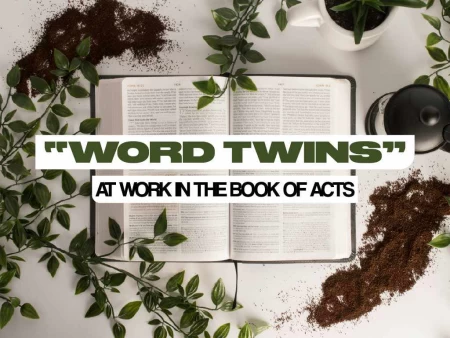 “Word Twins” at Work in the Book of Acts