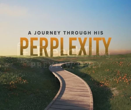 A Journey Through His Perplexity