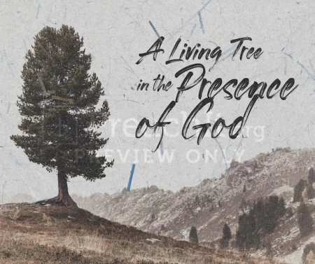 A Living Tree In The Presence Of God