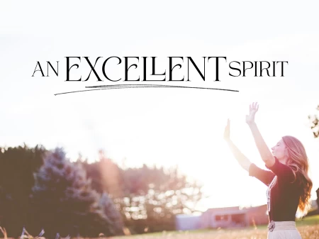 An Excellent Spirit.