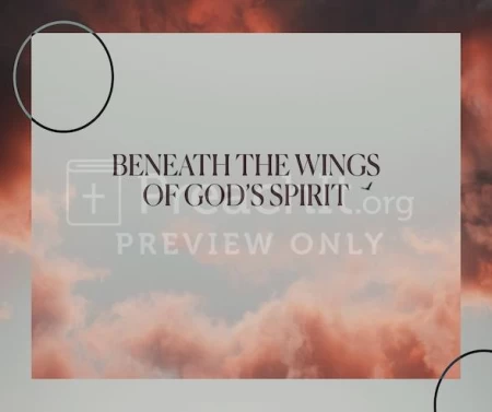Beneath The Wings Of God’s Spirit