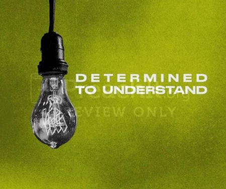 Determined To Understand