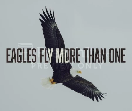 Eagles Fly More Than One Time