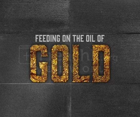 Feeding On The Oil Of Gold