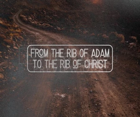 From The Rib Of Adam To The Rib Of Christ