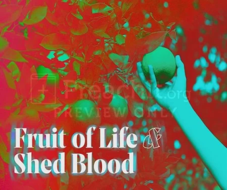 Fruit Of Life And Shed Blood