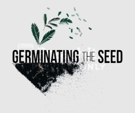 Germinating The Seed