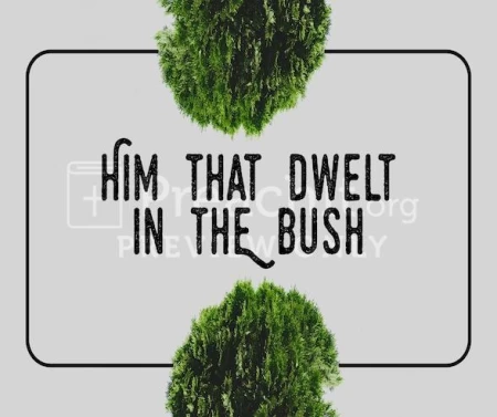 Him That Dwelt In The Bush