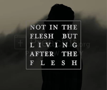 Not In The Flesh But Living After The Flesh