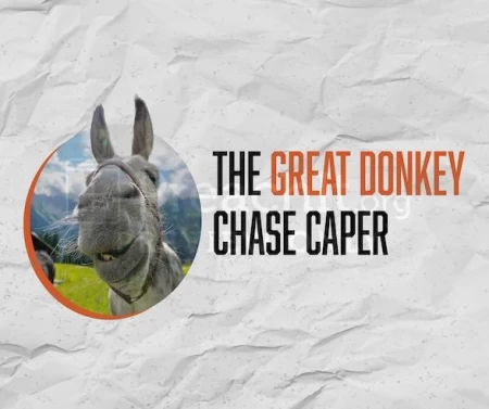 The Great Donkey Chase Caper