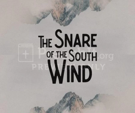 The Snare of The South Wind