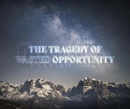The Tragedy of Wasted Opportunity