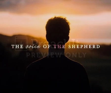 The Voice of the Shepherd